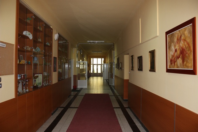 Loading Image